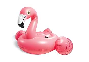 ドバイ フラミンゴ コメディ Dubaï Flamingo  Blu-ray 71mxdzqY+6L._UF350,350_QL50_.jpg